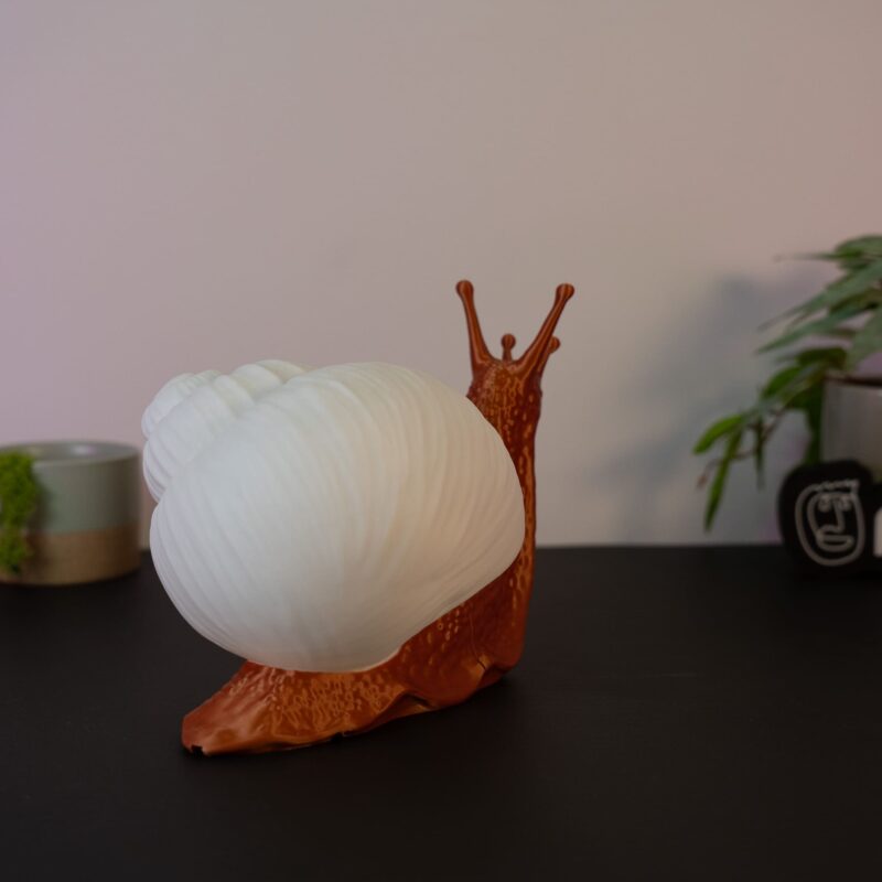 salyangoz lamba dekorasyon ortamı