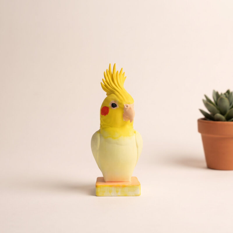 Cockatiel-Bust-Figur-Hero Sultan papağanı pla büst bohem bir rafta kitapların yanında